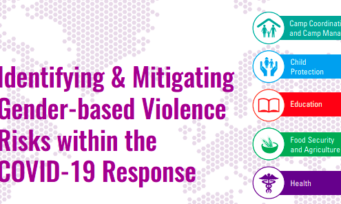 Identifying & Mitigating Gender-based Violence Risks within the COVID-19 Response