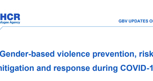 Gender-based violence prevention, risk mitigation and response during COVID-19