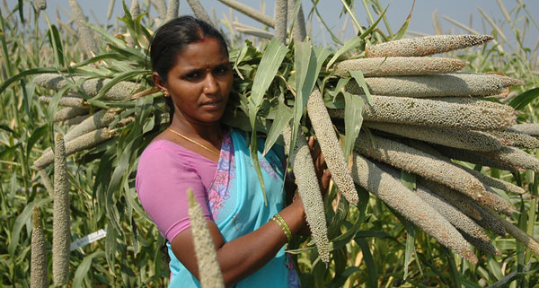 A woman carrying crops