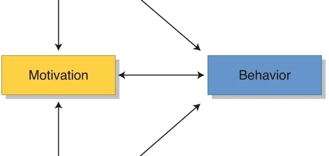 COM-b model of behavior