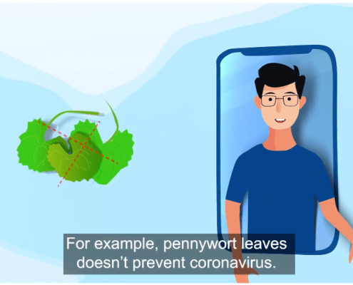 Pennywort leaves doesn't prevent coronavirus